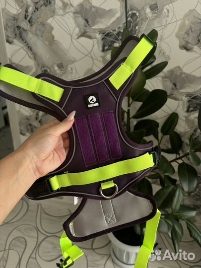 Шлейка для собаки