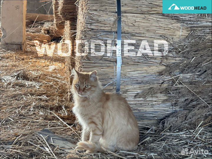 Камышовые маты