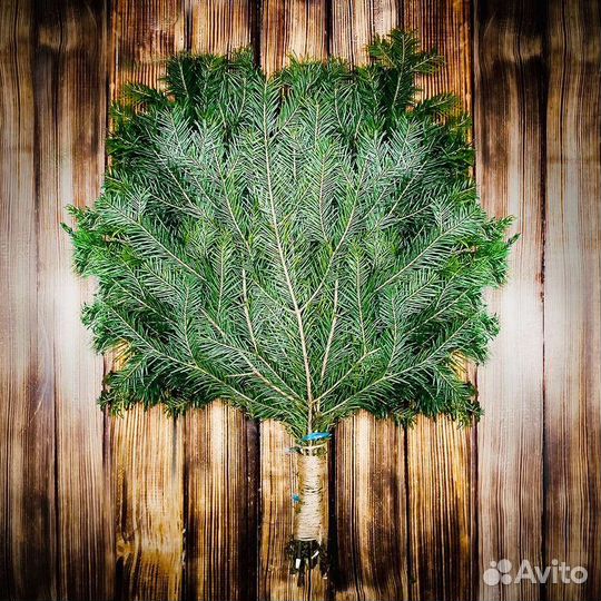 Свежие веники берёзы,пихты,можжевельника