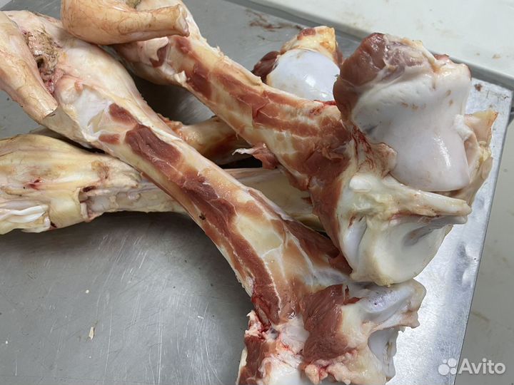 Лакомства для собак