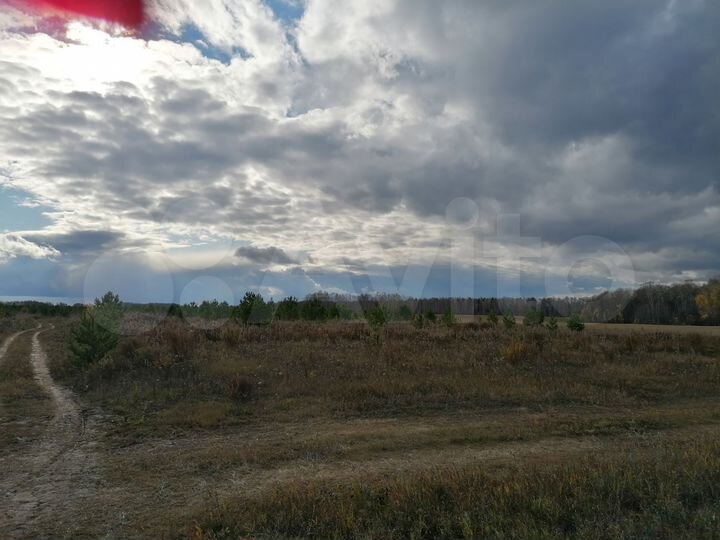 Участок 15 сот. (СНТ, ДНП)