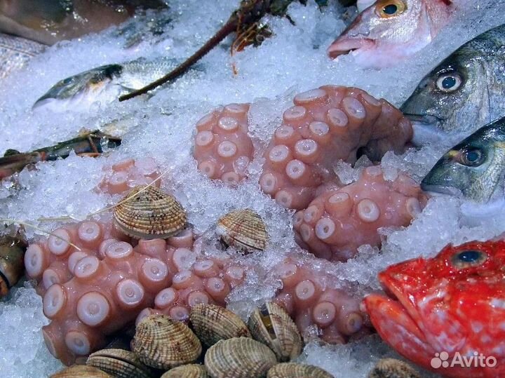 Франшиза рыбного магазина: прибыльный бизнес