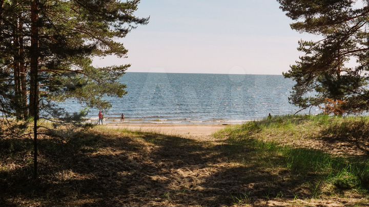 Участок 15 сот. (СНТ, ДНП)