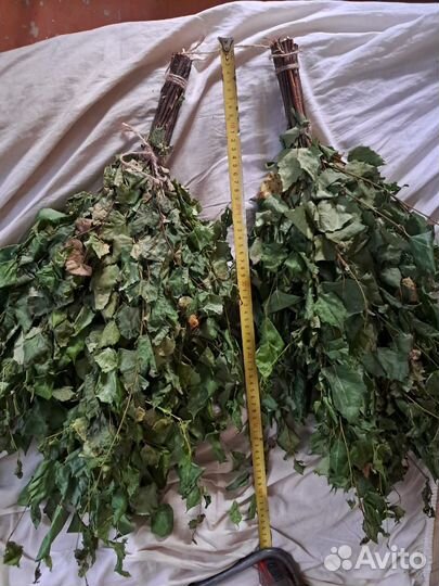 Продам веники березовые