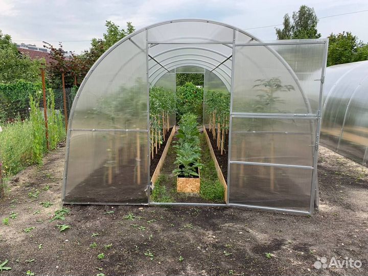 Теплица от Калининградского производителя