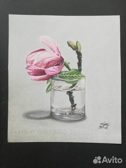 Картина сухой пастелью Цветок магнолии