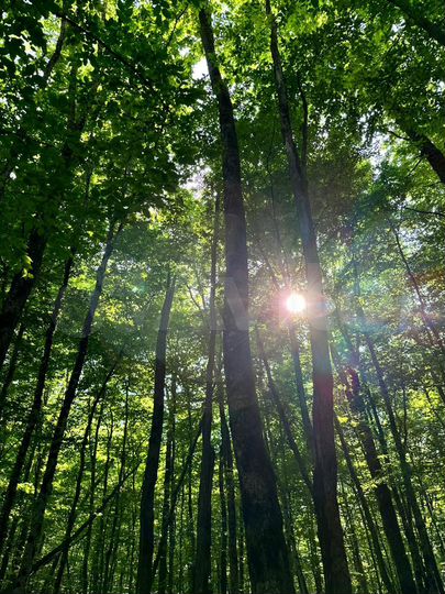 Участок 7 сот. (ИЖС)