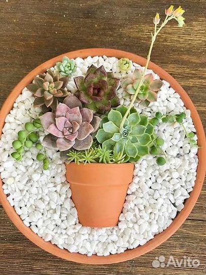 Агроперлит фасованный от 1л