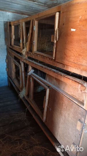 Клетки для кроликов бу