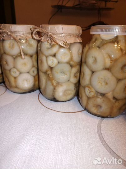 Соленые грузди