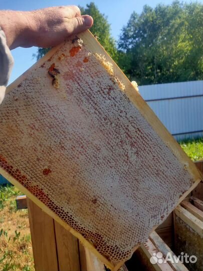 Мед в сотах в рамках