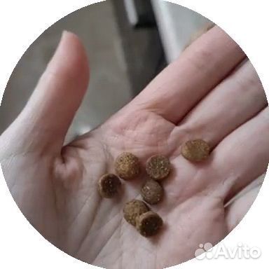 Сухой корм для кошек Территория с рыбой