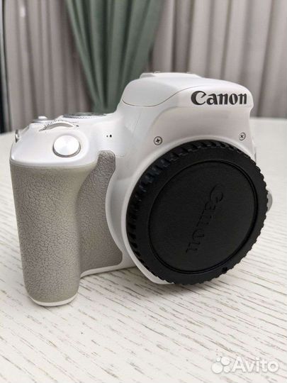Фотоаппарат canon 200D