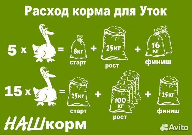 Комбикорм наш корм