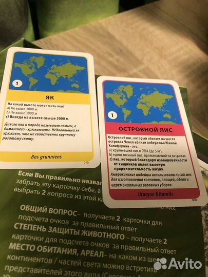 Познавательная игра дикие животные мира