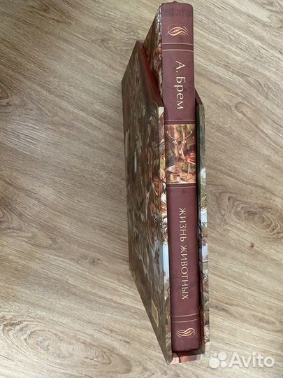 Энциклопедия Альфред Брем 