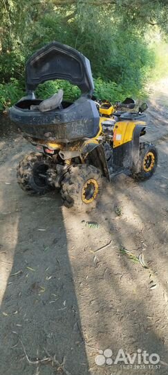 Motoland wild track 200 новый