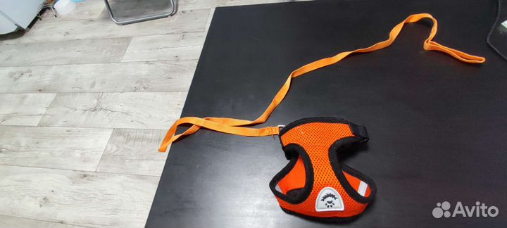 Шлейка для маленьких животных