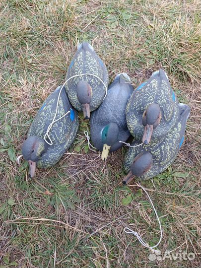 Подсадные утки