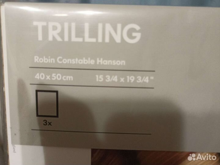 Постеры из икеа морские раковины 3 шт