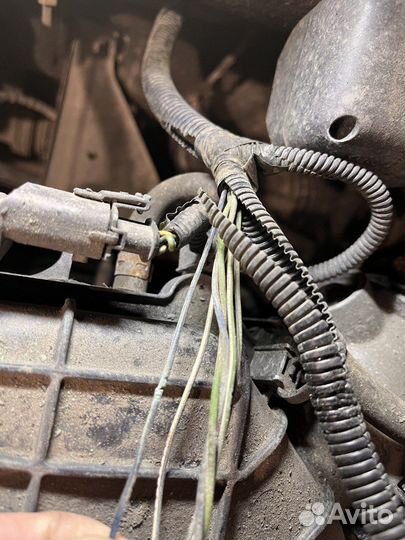 Автоэлектрик с выездом LADA, Renault