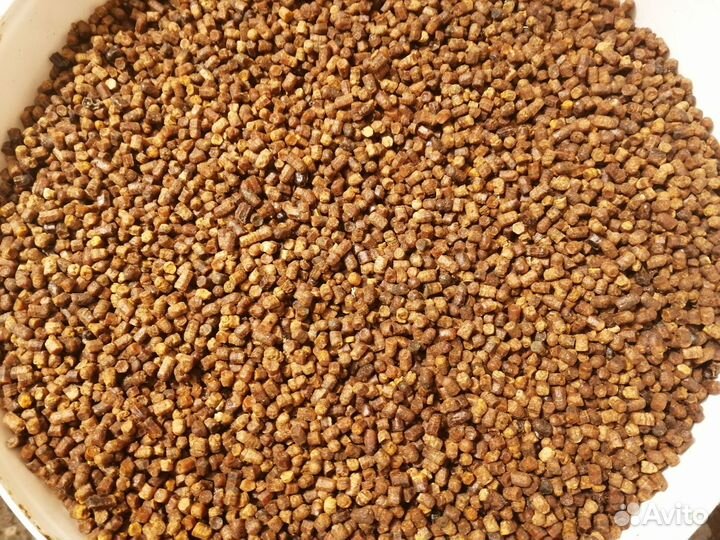 Перга (2022 г) просушенная и расфасована по 1 кг