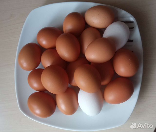 Яйцо домашнее