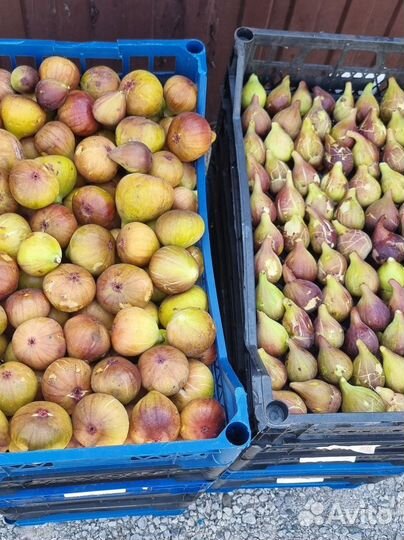 Продукты питания