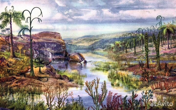 Райниевый черт. Плаун Asteroxylon mackiei