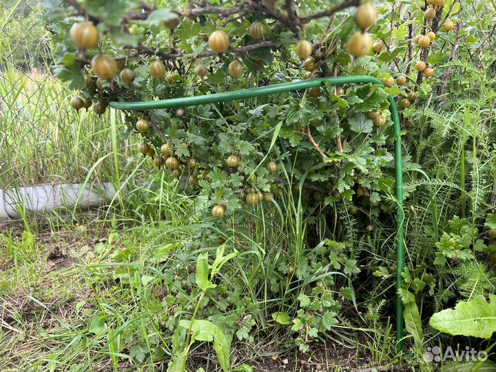 Кустодержатель из полукругов 75*50