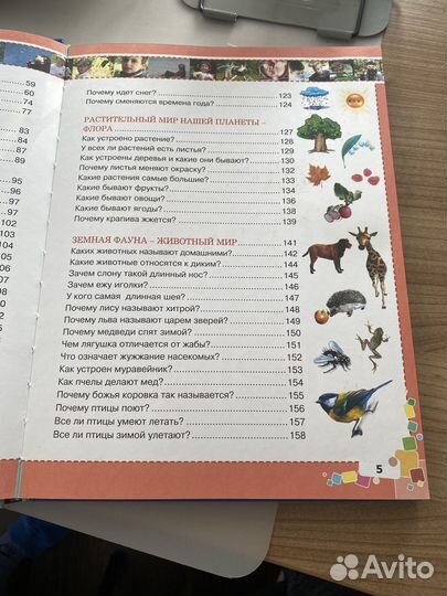 Первая энциклопедия для мальчиков