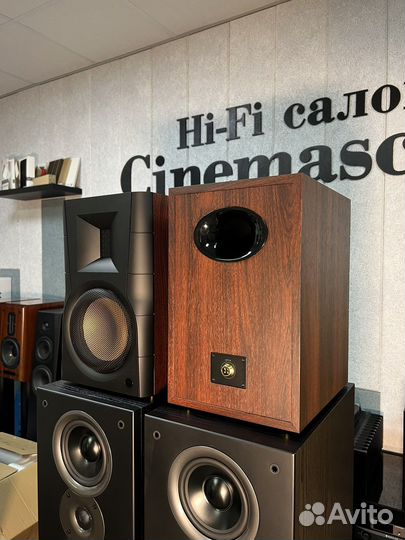 Активная акустика Swan D300