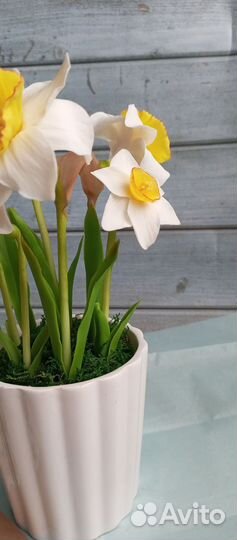 Нарциссы из холодного фарфора в кашпо