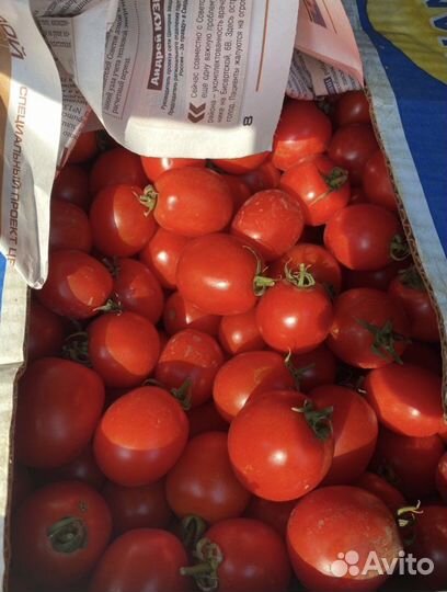 Помидоры солероссо доставка