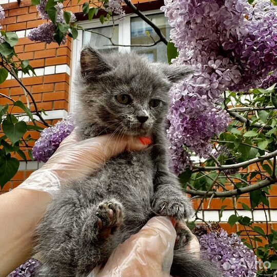 Мальчик хочет домой