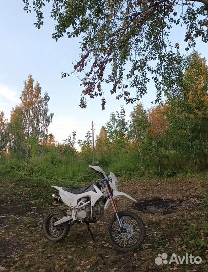 Питбайк Motoland Apex 140