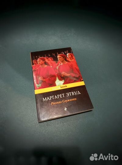 Куриный бульон для души, Рассказ служанки, Кинг