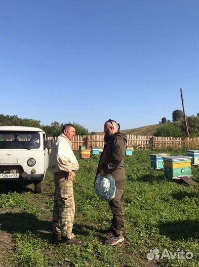 Мед таежное, полевое разнотравье