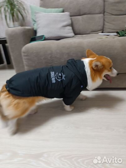Куртка утепленная для собак