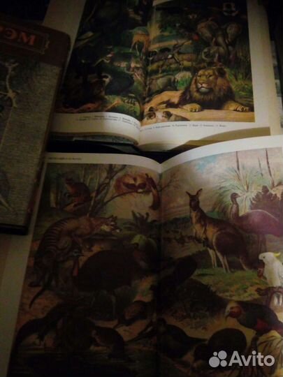 Жизнь животных (Брэм) три тома