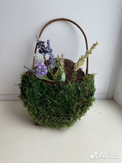 Стабилизированный мох панно