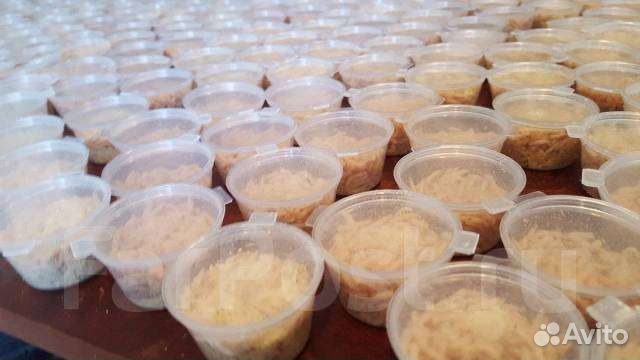 Мотыль насадочный и прикормочный, опарыш