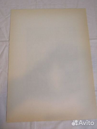 Гравюра старинная литография Дюрер 19-20 век №9779