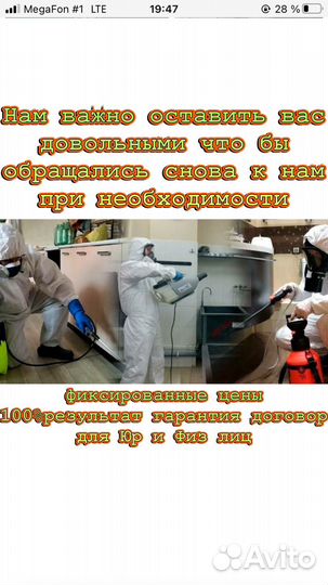 Уничтожение клопов обработка тараканов дезинсекция
