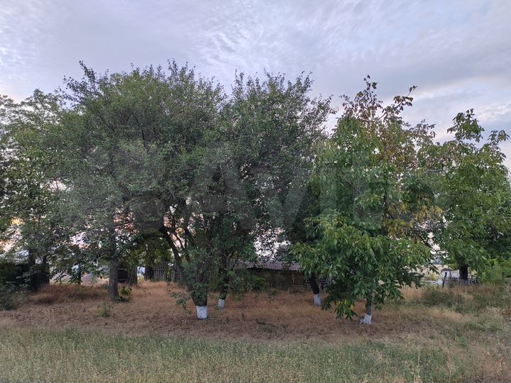 Дом 42,7 м² на участке 34,5 сот.