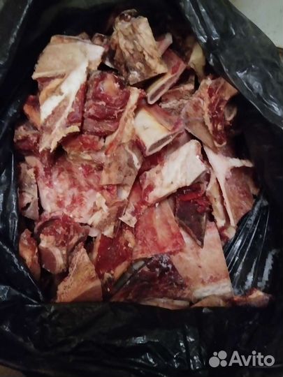 Мясные обрезки и кости для собак