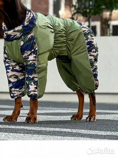 Комбинезон для крупной собаки кобель