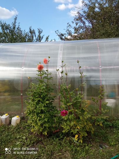 Дача 38 м² на участке 4,3 сот.