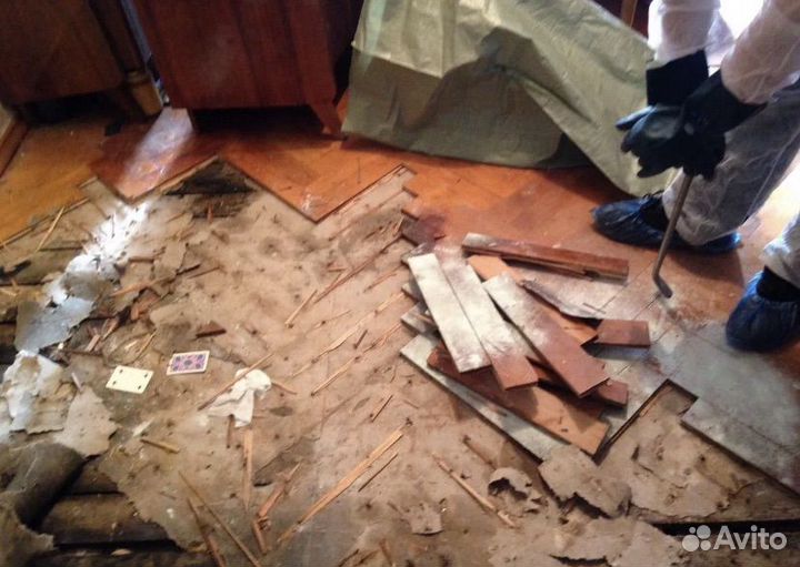 Уборка после смерти / Удаление запахов / Демонтаж