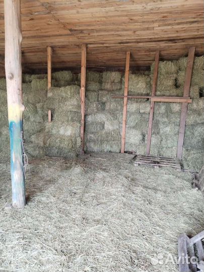 Сено,солома в тюках